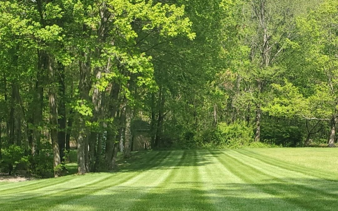 Top Andover Landscaper says mow regularly for a health lawn